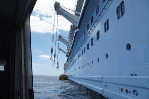 Bay of Islands 31oct2019 (274)